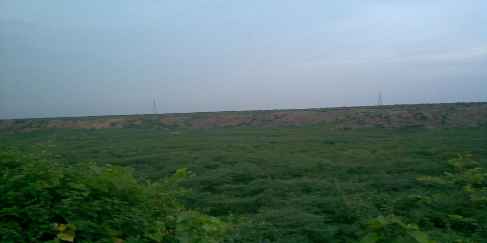 Lake green area