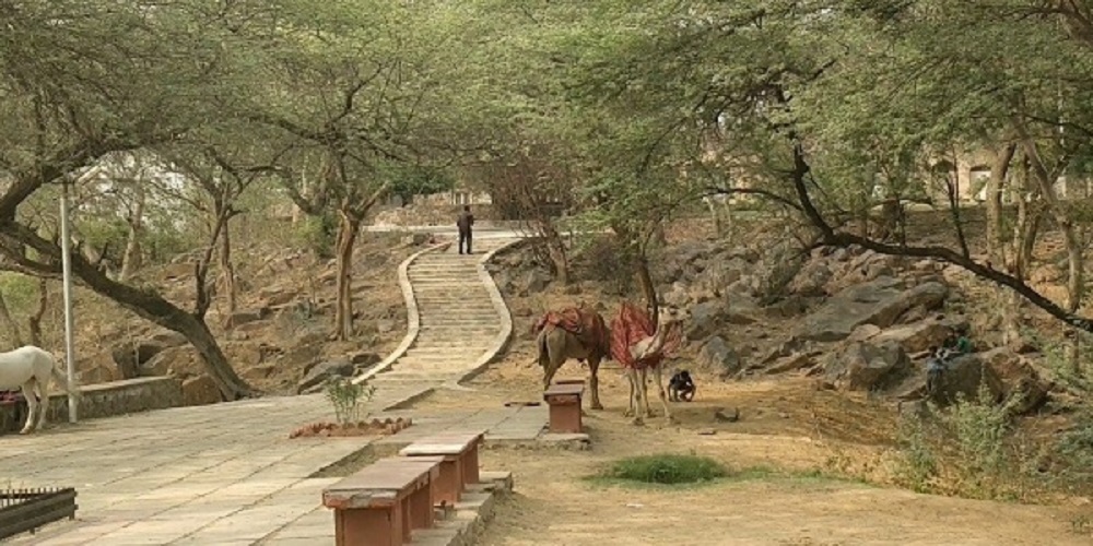 Badkhal lake resort surrounding area