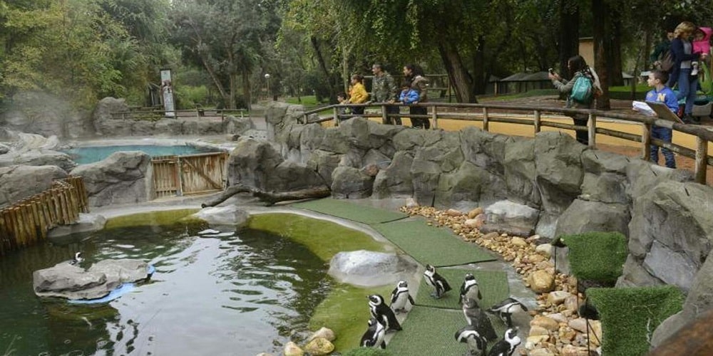 Jaipur Zoo