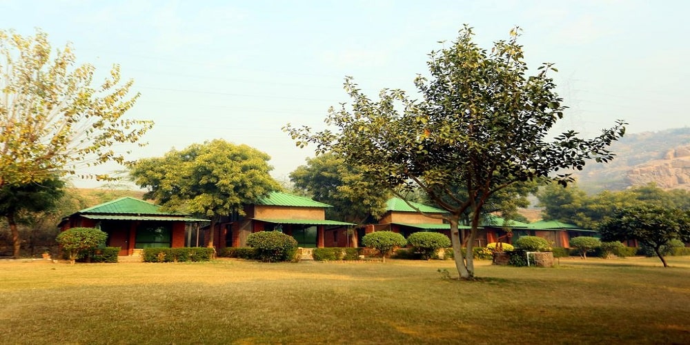 Camp Wild Dhauj Resort