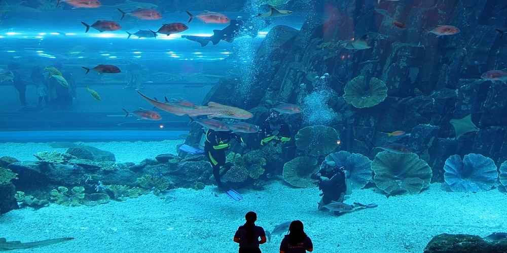 wonderful place for scuba and snorkelling