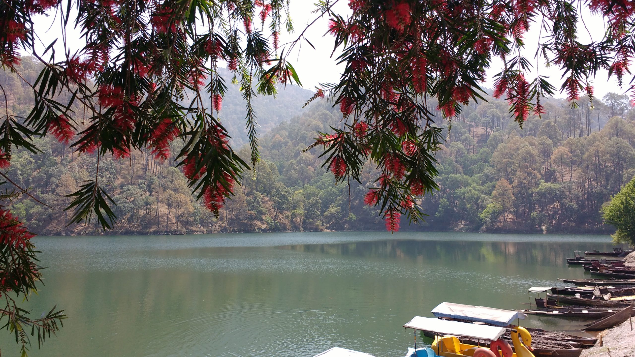 Places To Visit In Bhimtal, 7 Best Places, Nearby Places, Paragliding, Lake