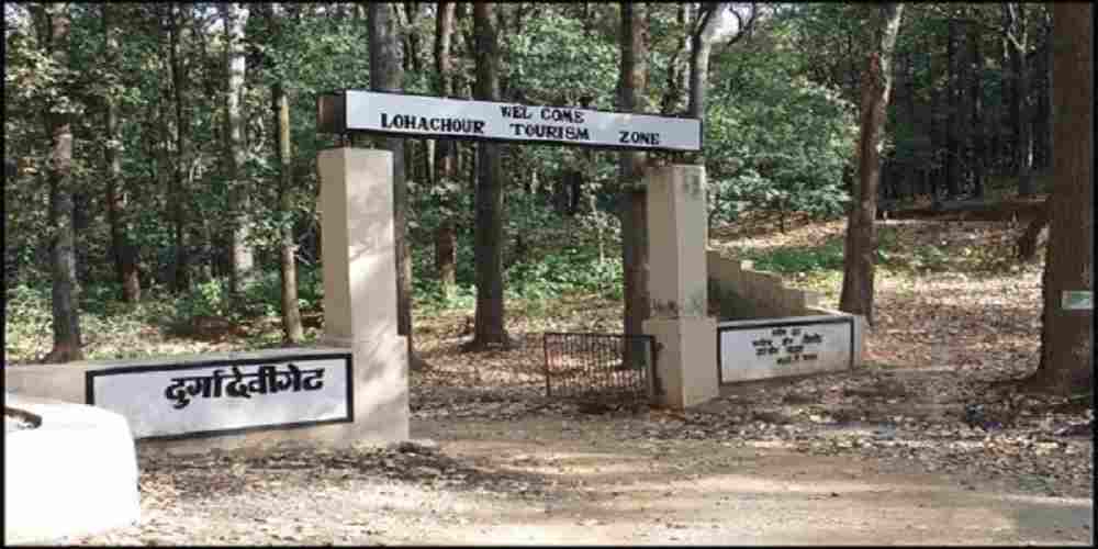 lohchaur tourism zone corbett national park durga devi gate